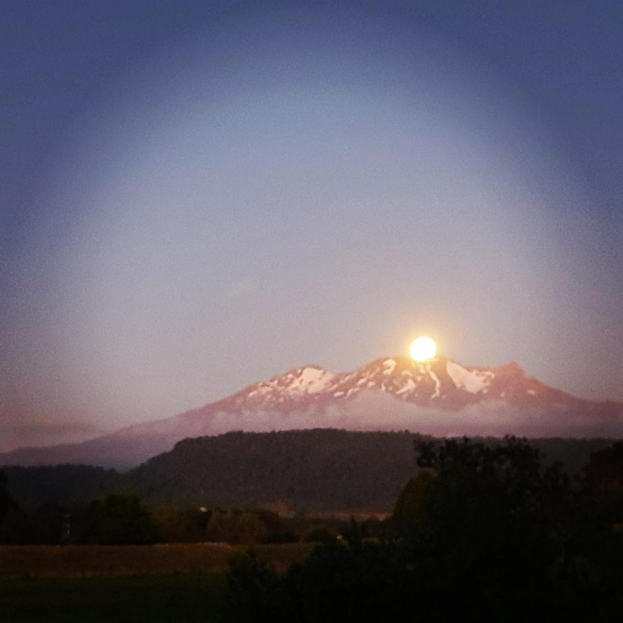 Beech Tree Lodge Ohakune Zewnętrze zdjęcie