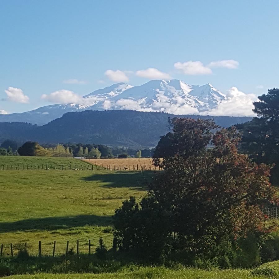 Beech Tree Lodge Ohakune Zewnętrze zdjęcie