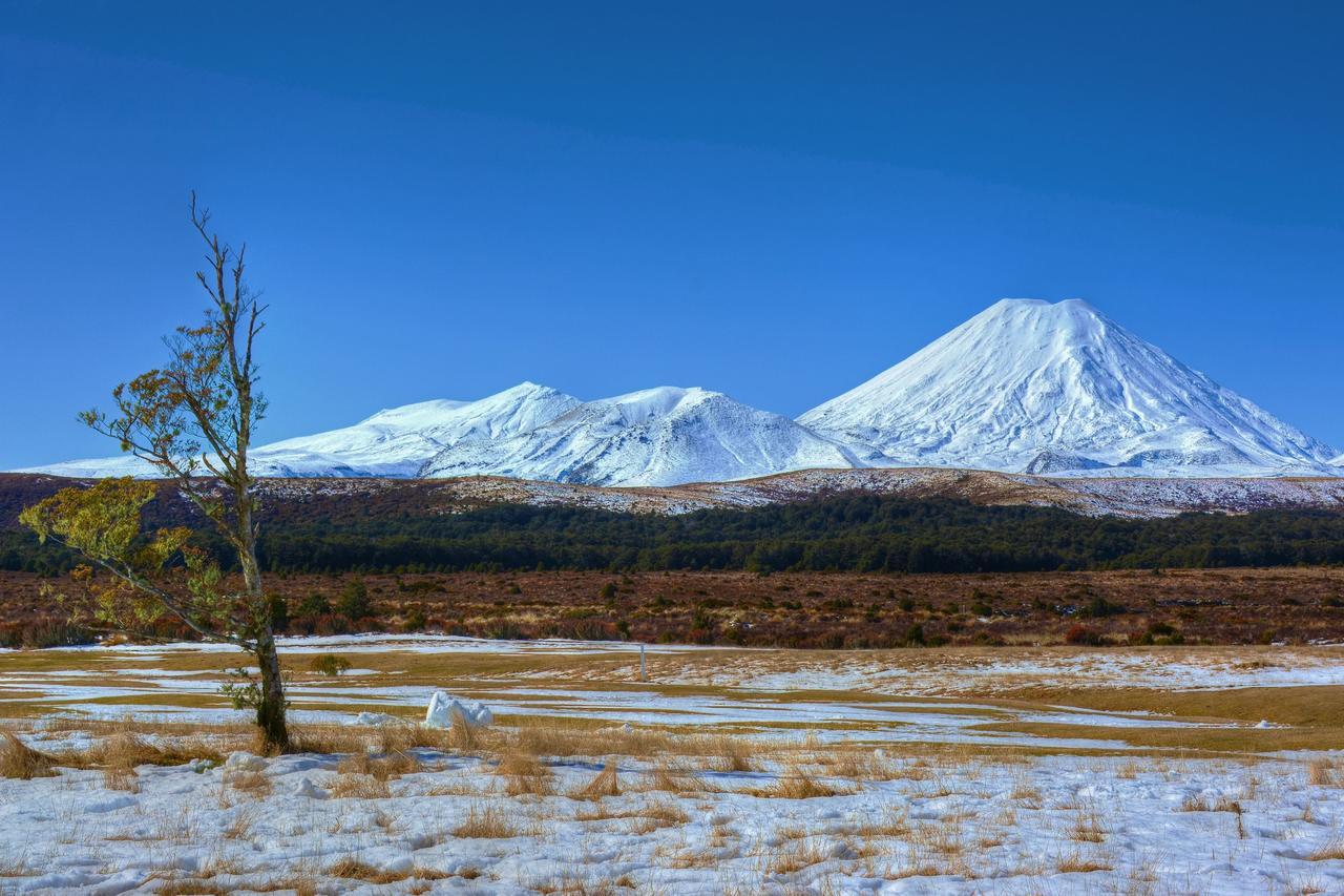 Beech Tree Lodge Ohakune Zewnętrze zdjęcie