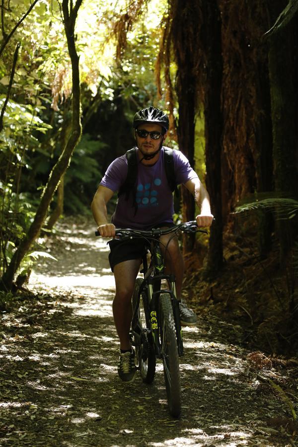 Beech Tree Lodge Ohakune Zewnętrze zdjęcie